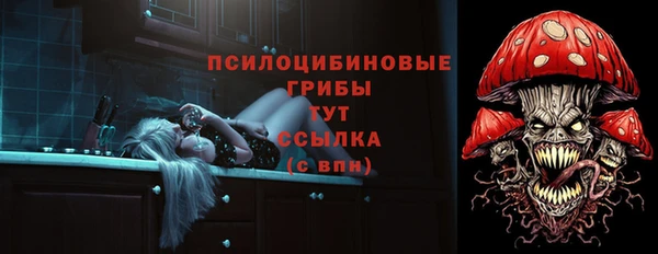 PSILOCYBIN Абинск