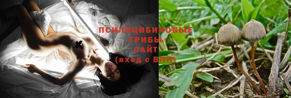 эйфоретик Протвино