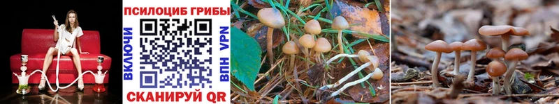 закладка  дарк нет формула  Псилоцибиновые грибы Magic Shrooms  Южноуральск 